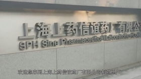 筑安全基石，展綠色宏圖 葛洲壩宜城水泥廠多維品牌形象建設(shè)